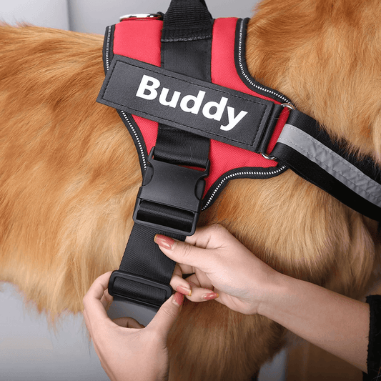 Yupply™ Personlig hundesele uden træk - Yupply